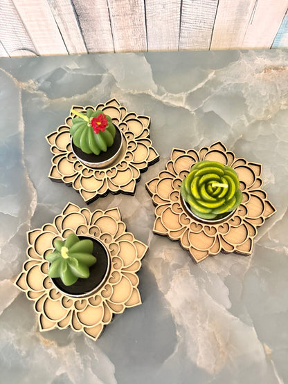 Birthday wooden mandala holders displaying assorted succulent candle upgrades; each purchase includes one holder and one candle