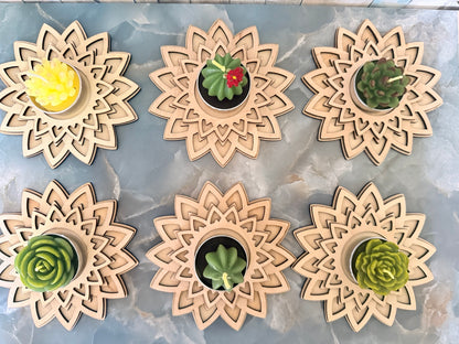 Wooden mandala holders displaying assorted succulent and cactus-shaped candle upgrades; each order includes one holder and one selected candle